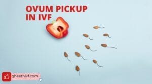 Ovum Pickup in IVF: What You Need to Know